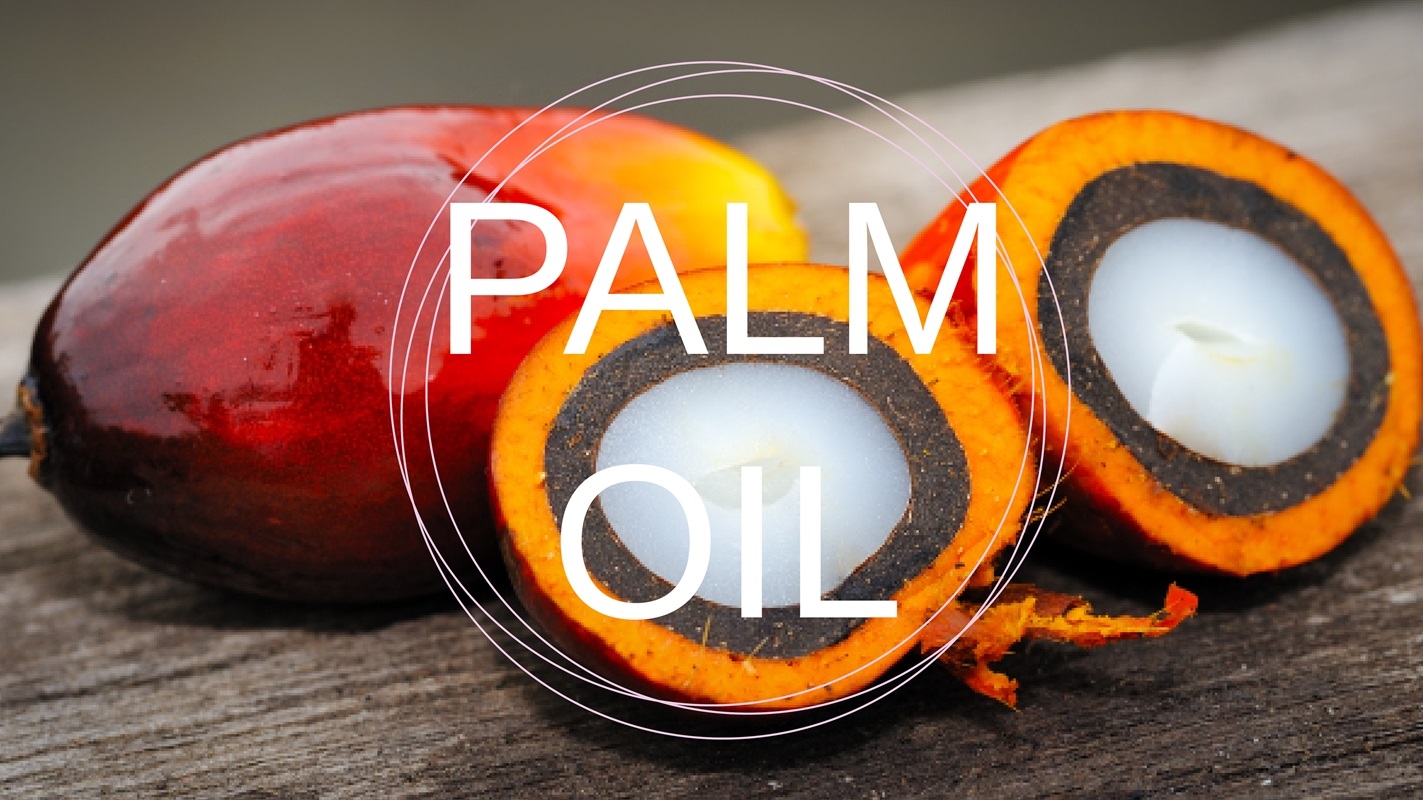 Palm Oil - Diyetisyen Betül Yolgiden Blog