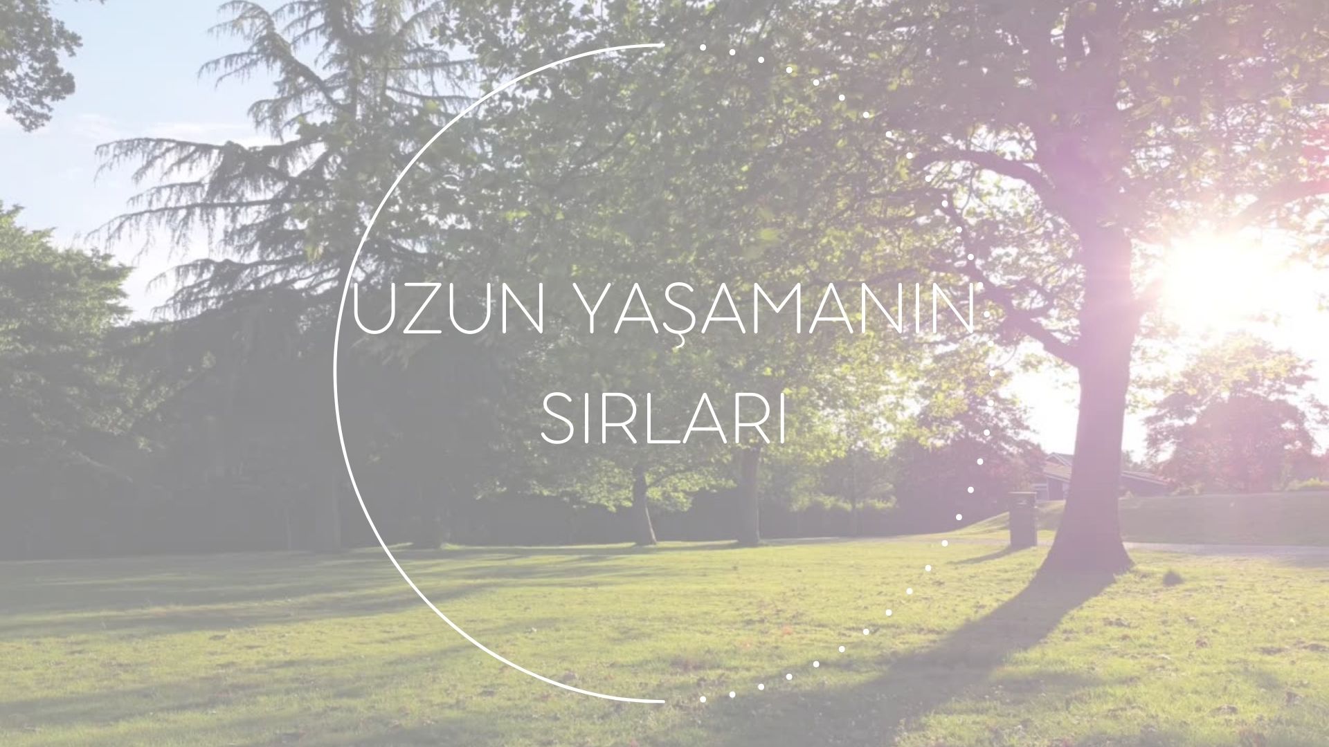 Kavun - Diyetisyen Betül Yolgiden Blog