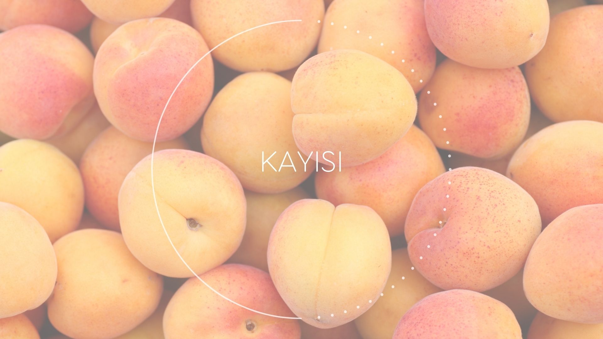 Kayısı - Diyetisyen Betül Yolgiden Blog