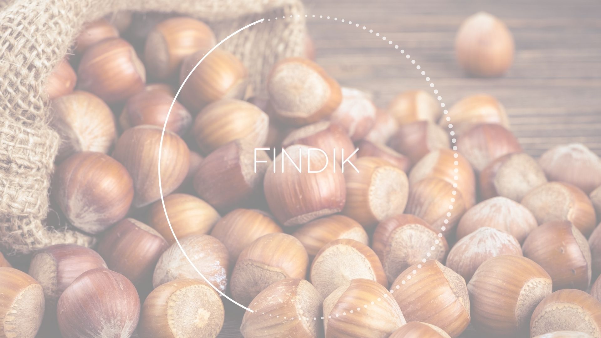 Fındık - Diyetisyen Betül Yolgiden Blog