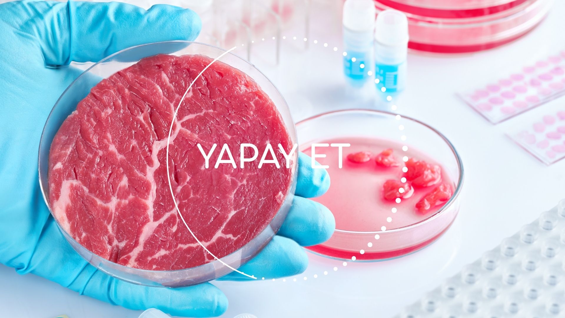 YAPAY ET - Diyetisyen Betül Yolgiden Blog