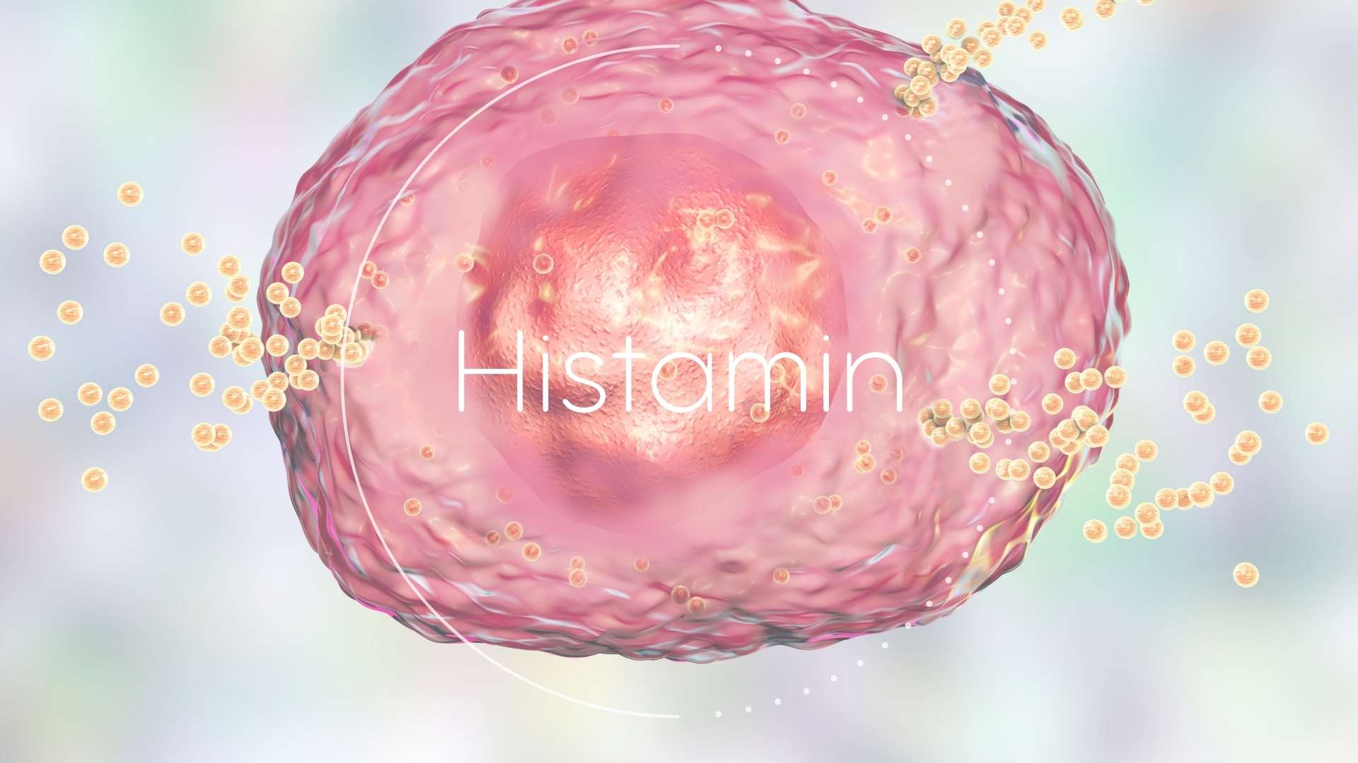 Histamin İntoleransı - Diyetisyen Betül Yolgiden Blog